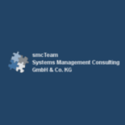 Systems Management Consulting