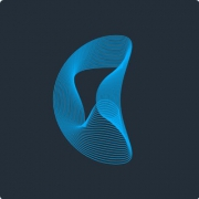 Adaptive Simulations